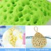 Dadabig 5 PCS Hydrophilic Sponge Bath, Bath Sponges Loofahs Exfoliating Scrubber Balls Natural Sea Sponge for Baby Adult Bathroom Supplies, 4 Colors, 9.5 * 8.5 * 3.5cm