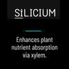 SiLicium Original - Monosilicic Acid Boosts Nutrient Uptake 100 ml by SiLicium