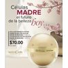 cellular strength system Cream For Day And Night. Célula Madre Terramar