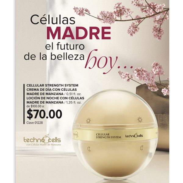 cellular strength system Cream For Day And Night. Célula Madre Terramar