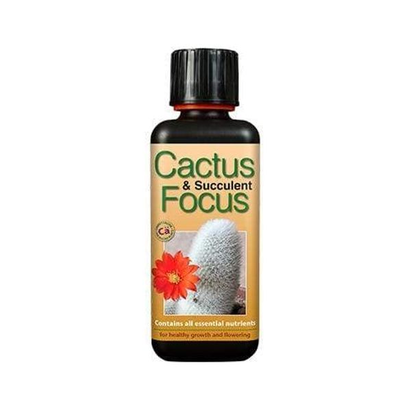 cactus focus 100ml FREE STRONG PAIR OF GLOVES