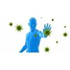 immune system support - ORGANIC GREENS COMPLEX - all day energy booster 2B