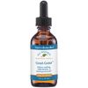 Native Remedies Gout-Gone 2 Pack