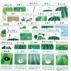 Gorukado (28 Types) Complete Set A Competition Prize, Penalty, Attraction Card