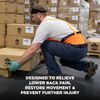 Ergodyne ProFlex 100HV Back Support Brace, High Visibility Support Belt, 8" Spandex Material, Removeable Straps