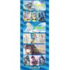 Urban Beauty | Waifu Deck Booster Box