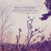 There Is a Bomb in Gilead [VINYL]