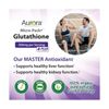 Aurora Nutrascience Micro-Pack Liposomal Glutathione, Immune System Support, ...