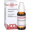 DHU Calendula D2 Dilution, 20 ml Solution