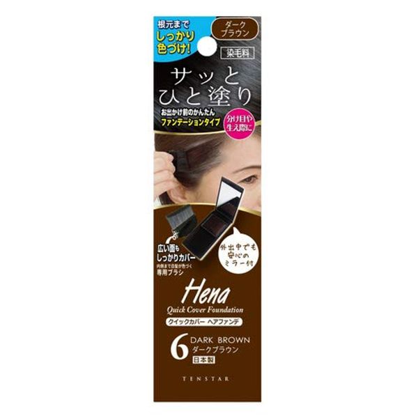 TENSTAR Quick Cover Hair Funde Dark Brown