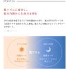Aurelie Wrinkle Repair Serum, Serum, Moisturizing Serum