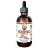 Horsetail (Equisetum arvense) Liquid Extract 4 Oz