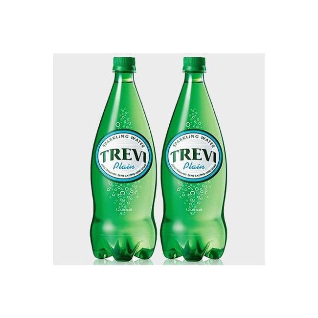 Treviplane 300ml (20PET) Carbonated Water Ade