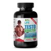 muscle builder supplements - TESTOBOOSTER 855MG 1B - panax red ginseng powder