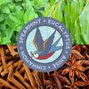 Aloelujah™ Baking Soda-Free Natural Deodorant EARLY BIRD (3.3oz/93g) Any 3 Items SHIP FREE