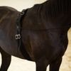 HORZE Lunging Surcingle for Horses | Nylon Roller for Training - Black - Pony