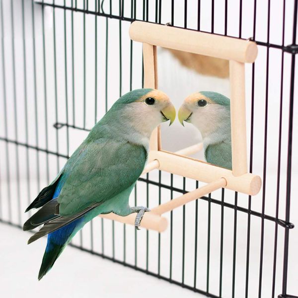 HANZE Bird Mirror with Swing Hummingbird Swing Bird Perches for Parrots Stand Wooden Swing Toy for Macaws Lovebird Cockatoo Parakeet Conure Finch Cockatiels, 2 Pack