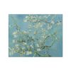Spiffing Prints Vincent Van Gogh - Almond blossom - Small - Matte - Framed