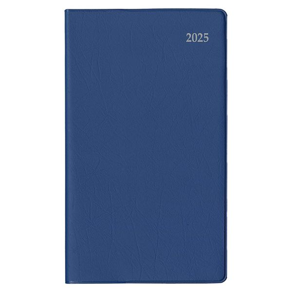 Daigo E2321 2025 Planner, Appointment, Monthly Block, Blue, Begins September 2024