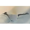 Roadrunner 2 " Trailer Hitch Chrome Hitch Cover 