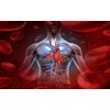 Blood pressure diet - CHOLESTEROL RELIEF - cholesterol support supplement - 1 B