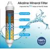 2 Pack pH+ Inline Mineral Alkaline Ionizer Water Filter Under Sink RO Cartridges