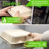 100% Home Compostable 50 Pack Disposable Clamshell Take Out Food Containers, 8X8