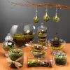 SuperMoss (26958) Spanish Moss Preserved, Pear, 4oz