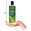 Desert Essence Daily Replenishing Shampoo 381 ml
