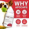 Apocaps CX Apoptogen Formula for Dogs, 90 Count (Pack of 1)