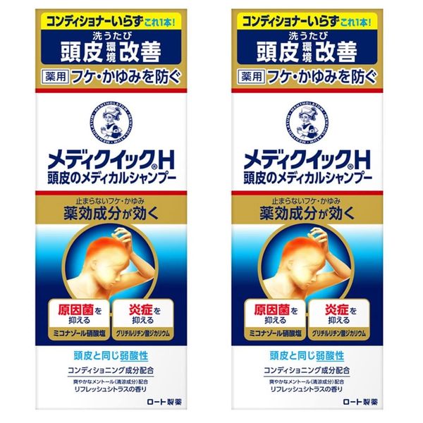 Medicik H Prevents Dandruff and Itching, Improve Scalp Environment Medical Shampoo 2P (Quasi-Drug)