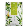 Olive Manon Olive Face Mask, Pack of 7