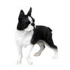 Conversation Concepts Boston Terrier Figurine