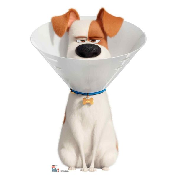 Max wearing cone collar The Secret Life Of Pets 2 Cardboard Cutout / Standup