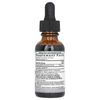 Yellow Dock Root, Alcohol-Free, 500 mg, 1 fl oz (30 ml)