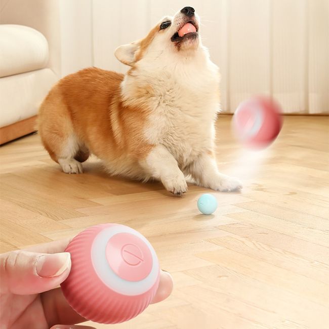 Electric Dog Toys Smart Ball Funny Auto Rolling Ball Self Moving