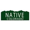 CafePress Native Colorado Rectangle Sticker Rectangle Bumper Sticker Car Decal