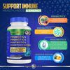 Probiotics + Prebiotics + Postbiotics + Digestive Enzymes = 4 in 1 Supplement