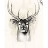 CANVAS ON DEMAND Timberland Animals II Wall Decal, Deer Artwork