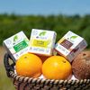 Dr Organic Aloe Vera & Shea Shampoo & Conditioner Bar, Soothing, All Hair Types, NEW, Plastic Free, Natural, Vegan, Cruelty-Free, Paraben & SLS-Free, Organic, 75g