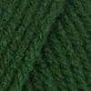 Bulk Buy: Red Heart Super Saver (2-pack) (Hunter Green)