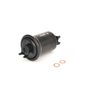 Bosch F3019 - Gasoline Filter Car