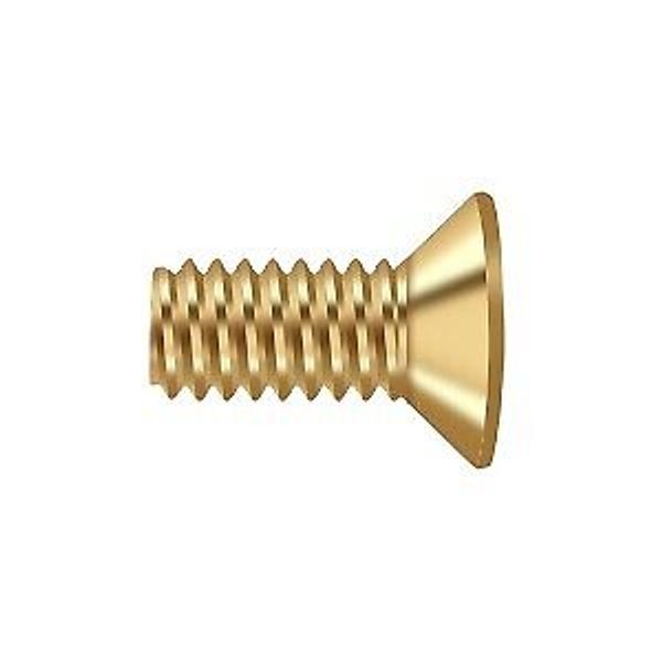 #12, 1/2" Length Flat Head Machine Screw Lifetime Polished Brass