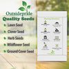 Outsidepride 200 Seeds Biennial Milk Thistle Herb Seeds for Planting