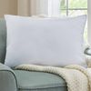 CafePress Go Vegan Vegetarian Vegan 20" x 14" Rectangular Throw Pillow
