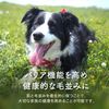 Picnic Shampoo Medicare Line 300ml 8 Active Ingredients Oily Skin C High Detergency Dog Hypoallergenic