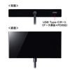 Sanwa Supply USB Type-C Hub with VGA USB-3TCV1BK