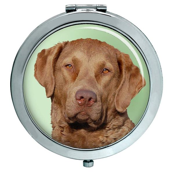 Chesapeake Bay Retriever Compact Mirror