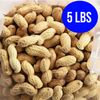 5 lbs Salted Roasted In-Shell Peanuts