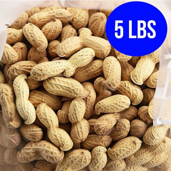 5 lbs Salted Roasted In-Shell Peanuts